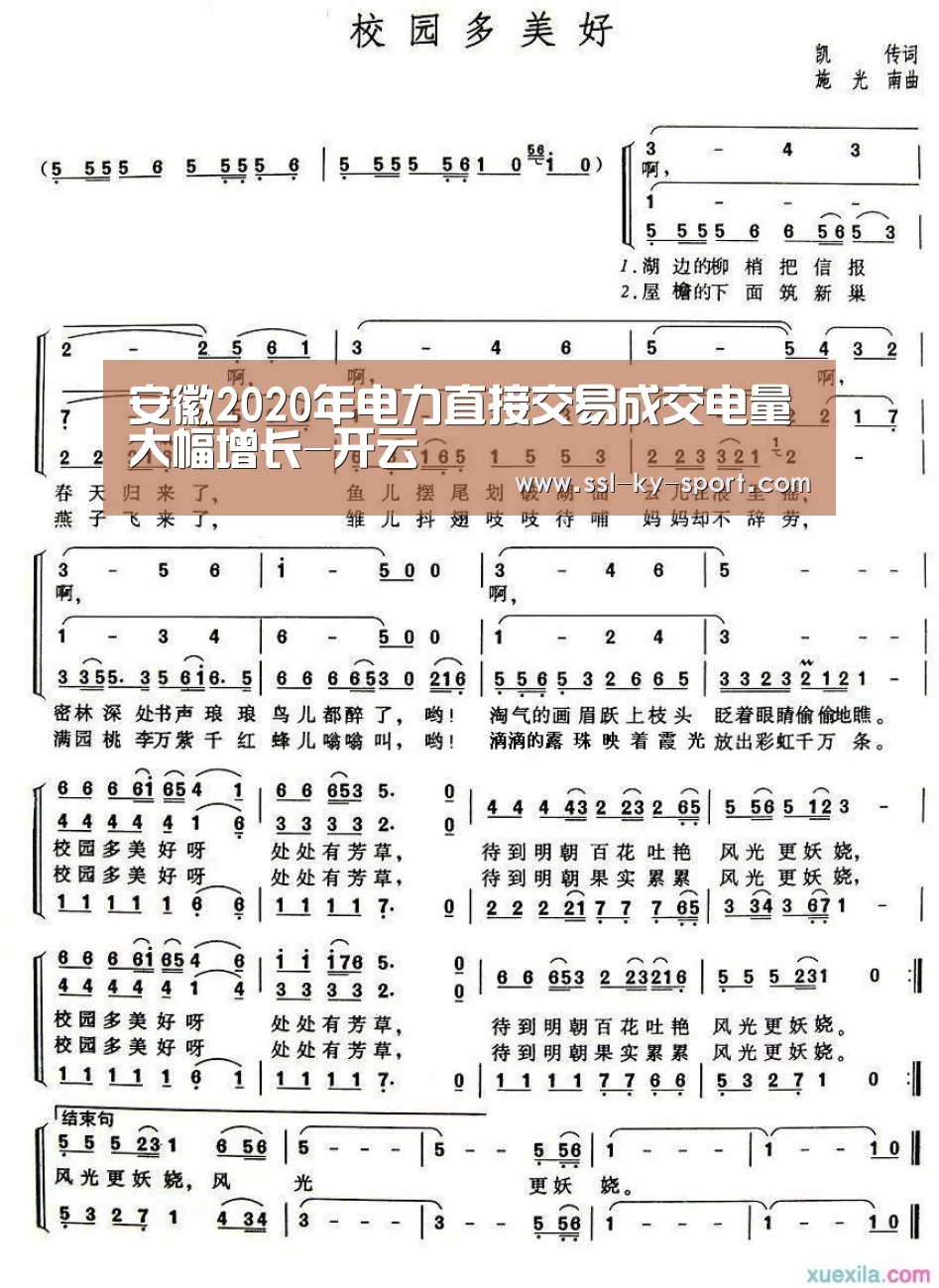 开云体育官网