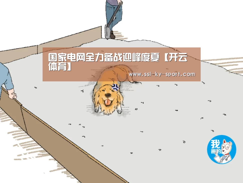 国家电网全力备战迎峰度夏【开云体育】(图2)